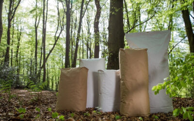 Miglioramento continuo dell’impronta ambientale dei sacchi di carta
