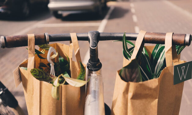 The Paper Bag: Il futuro nelle tue mani