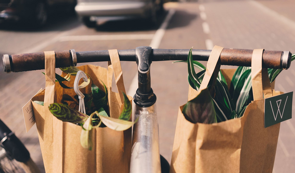 The Paper Bag: Il futuro nelle tue mani