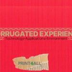 Corrugated Experience at Print4All 2025